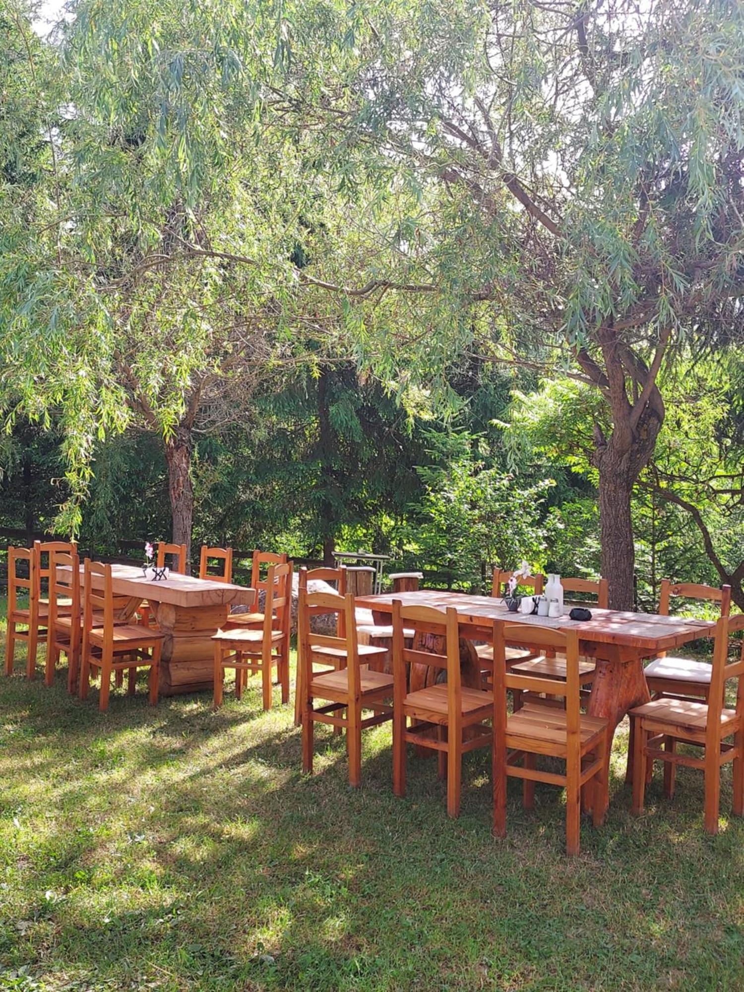 Pensiunea La Taverna Traisteni Ngoại thất bức ảnh